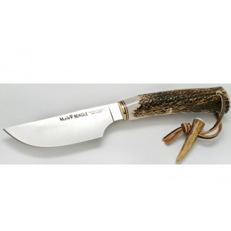  CUCHILLO BEAGLE-11A